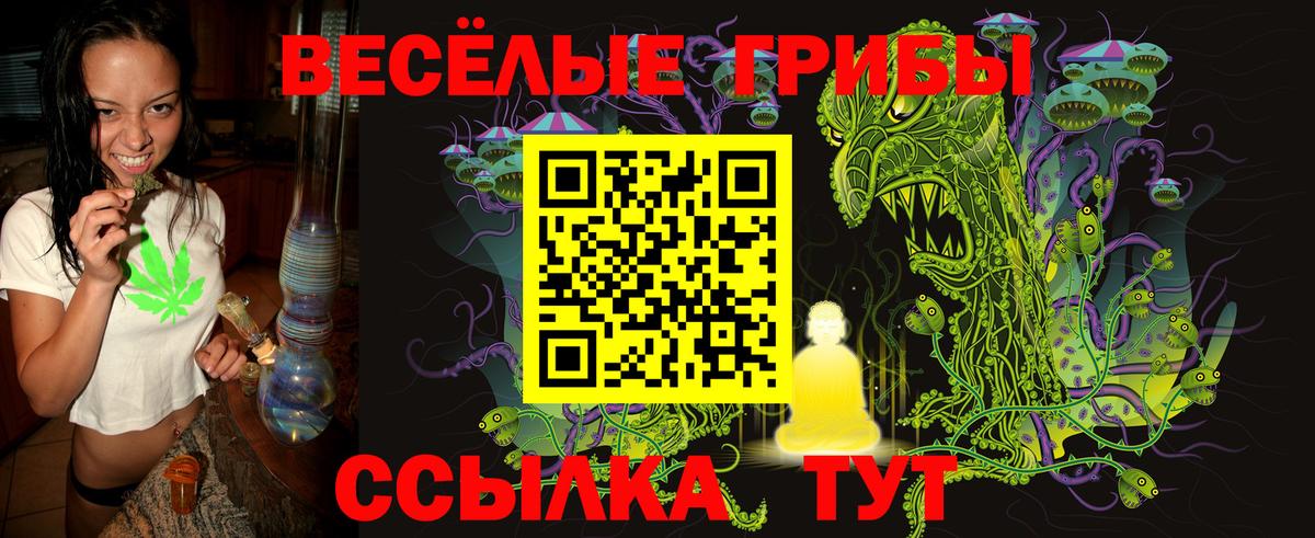 Псилоцибиновые грибы прущие грибы Малоярославец