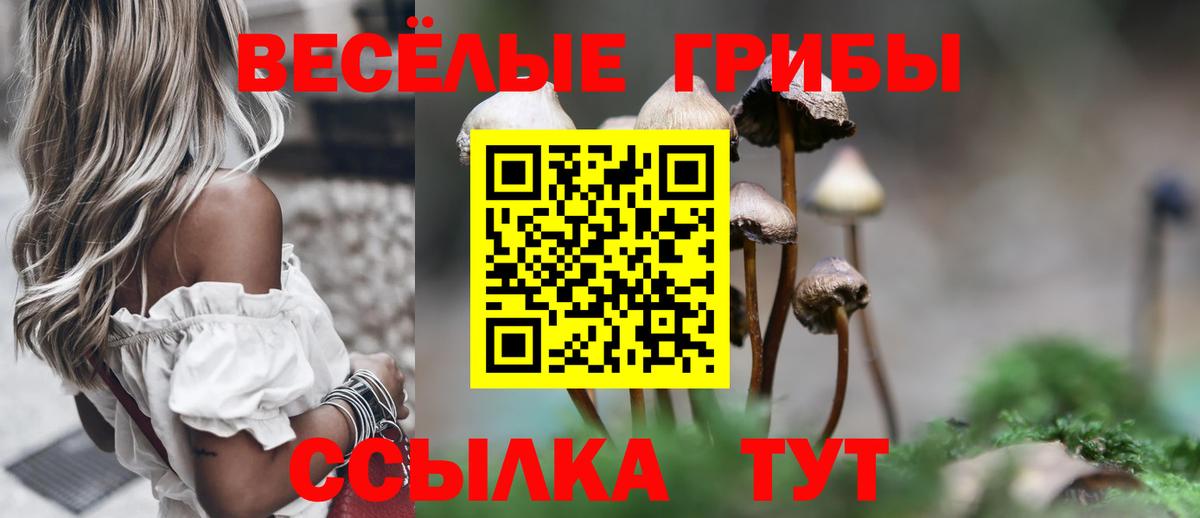 Галлюциногенные грибы Psilocybine cubensis  Вход с VPN  Малоярославец 